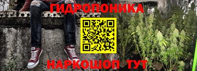 гашик Краснокаменск