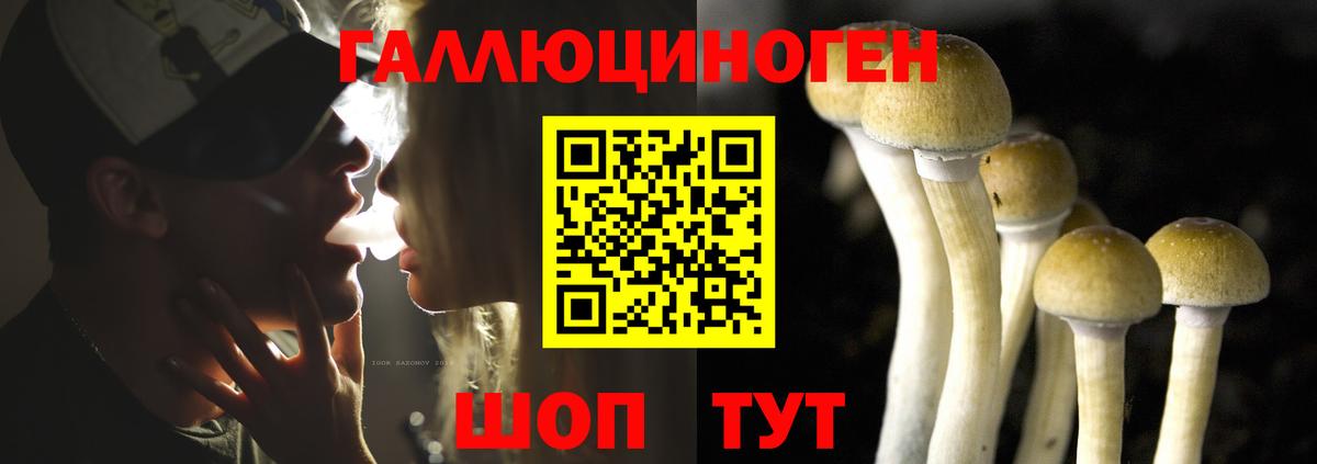 Галлюциногенные грибы Psilocybine cubensis Ухта
